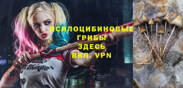 соль ск Арсеньев