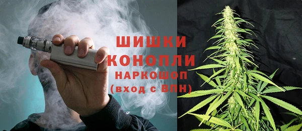 ешки Аркадак