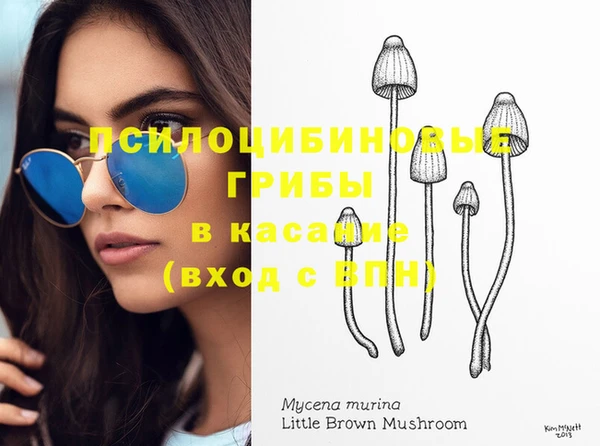 дурь Тавда