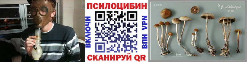 OMG tor  Тамбов  Галлюциногенные грибы ЛСД 